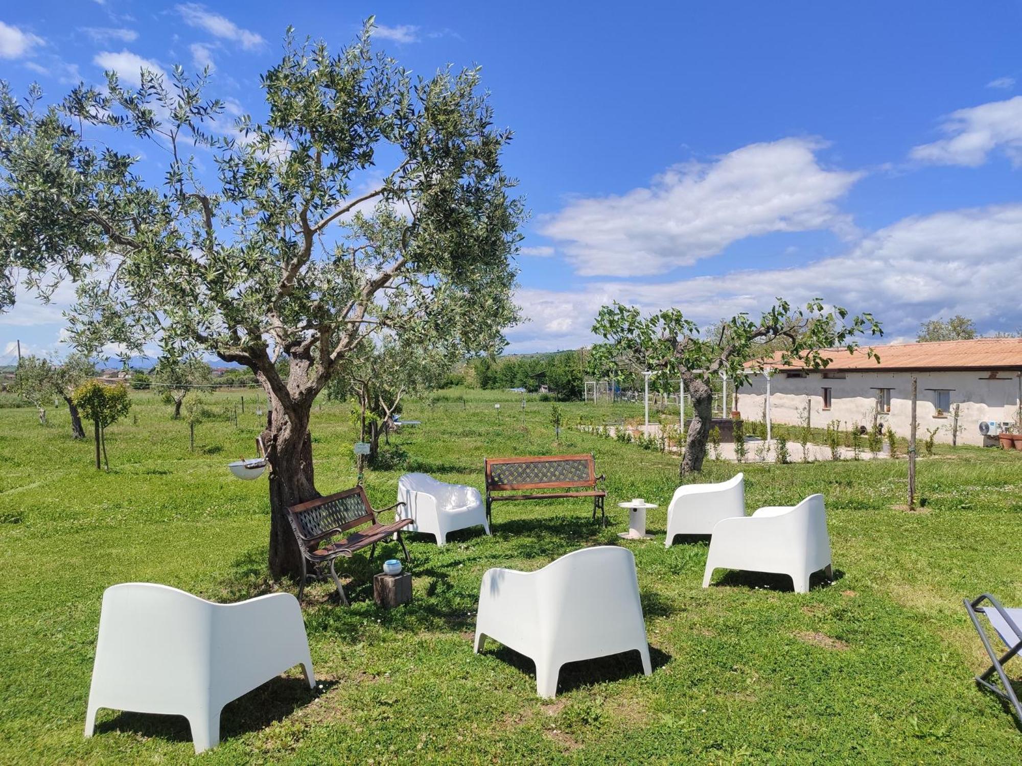 Masseria Fontana Dei Fieri Pietrelcina Exteriér fotografie