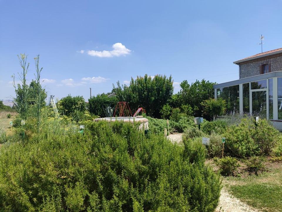Masseria Fontana Dei Fieri Pietrelcina Exteriér fotografie